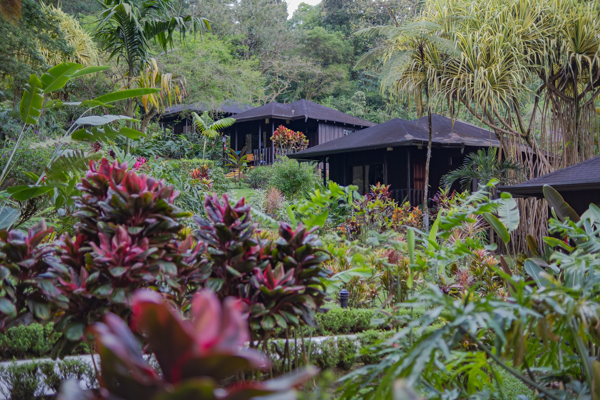 Yoga Hotel Lomas del Volcan
